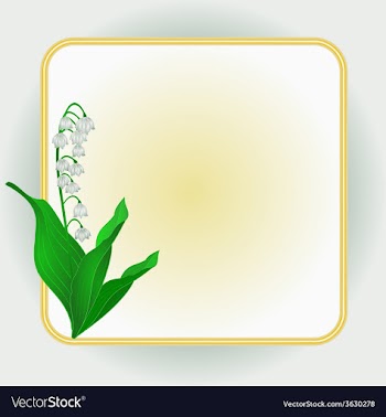 Lily of the Valley Spring flower background frame vector image