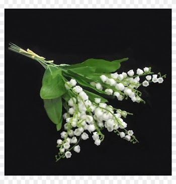 Lily Of The Valley Wedding Png