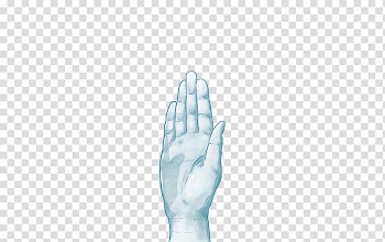 Limb Finger Hand Shoulder Joint, white smoke transparent background PNG clipart