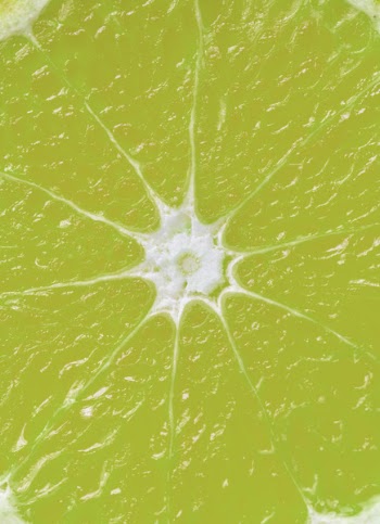 Lime Citrus Fruit