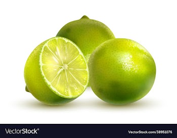 lime closeup isolated on white background eps 10