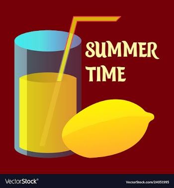 Lime icon lemon slice fresh healthy fruit vector image