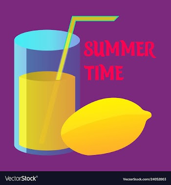 Lime icon lemon slice fresh healthy fruit vector image