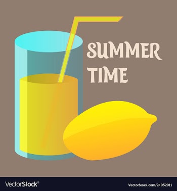Lime icon lemon slice fresh healthy fruit vector image