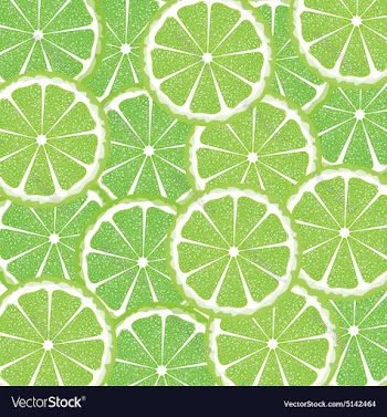 Lime Slices Background2 vector image