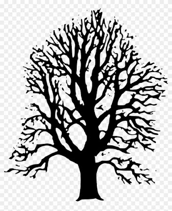 Lime Tree Clip Art