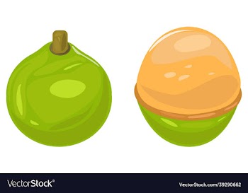 limoncillo fruit whole cut spanish lime poster