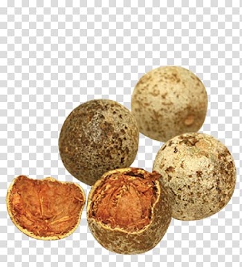 Limonia acidissima Indian bael Fruit Apple Mango, apple transparent background PNG clipart