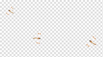 Line Angle Point White Pattern, Floating Dragonfly transparent background PNG clipart