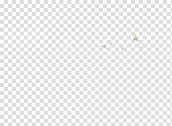 Line Angle Point White Pattern, Flock of birds transparent background PNG clipart