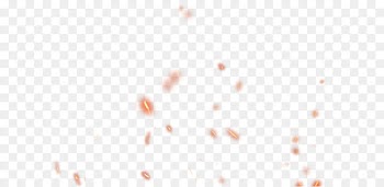 Line Angle Point White Pattern - spark 