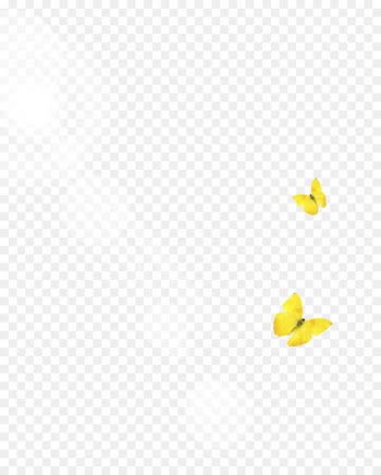 Line Angle Point Yellow Pattern - Butterfly sun rays 
