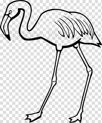 Line art Black and white , flamingos transparent background PNG clipart