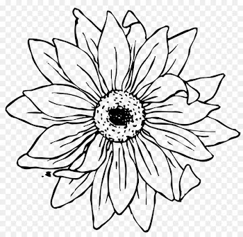 Line Art, Coloring Book, Drawing, Blackandwhite, White PNG