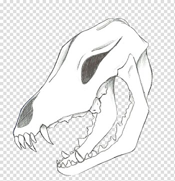 Line art Drawing Gray wolf Coloring book Skull, koi fish watercolor transparent background PNG clipart