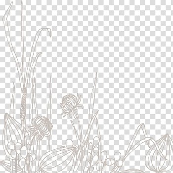 Line art Drawing, Line drawing floral material transparent background PNG clipart