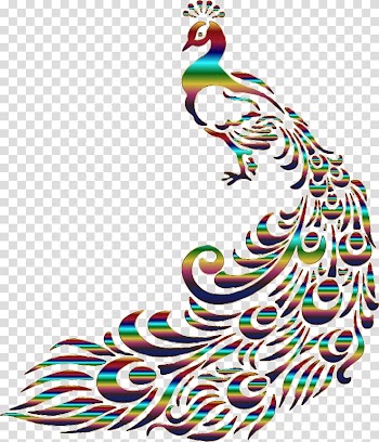 Line art Drawing Peafowl , peacock transparent background PNG clipart