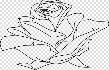 Line art Drawing , rose outline transparent background PNG clipart