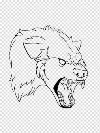 Line art Gray wolf Whiskers Black and white Drawing, Werewolf transparent background PNG clipart