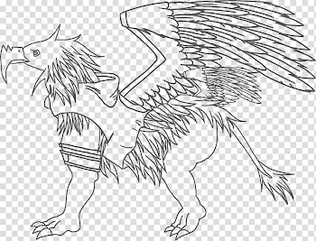 Line art , Griffin transparent background PNG clipart