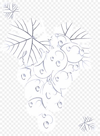 line art leaf line black-and-white branch