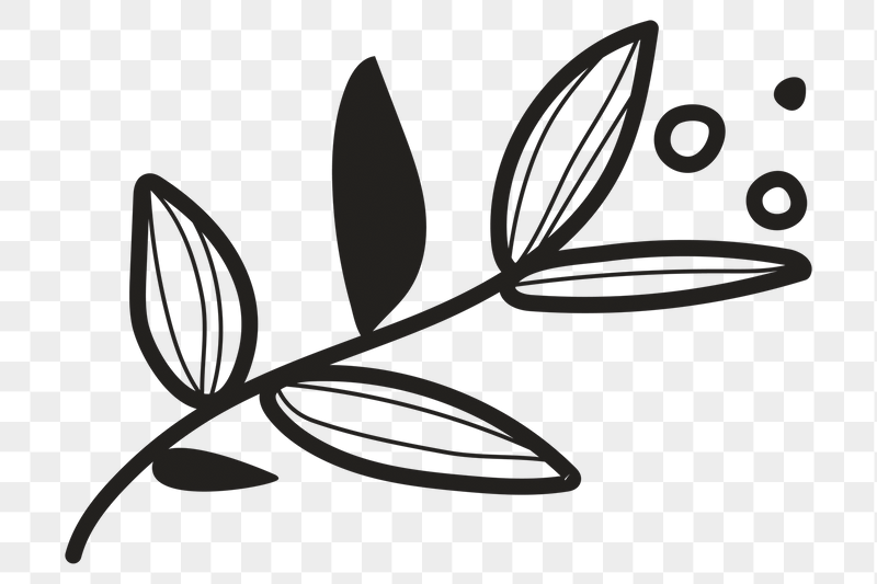Line art leaf png, transparent | Free PNG - rawpixel