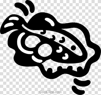 Line art , others transparent background PNG clipart