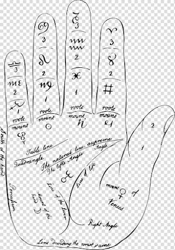Line art Palmistry , hand palm transparent background PNG clipart