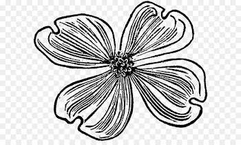 Line art Pattern - design 