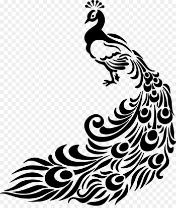 Line art Peafowl Drawing Clip art - peacock feather 
