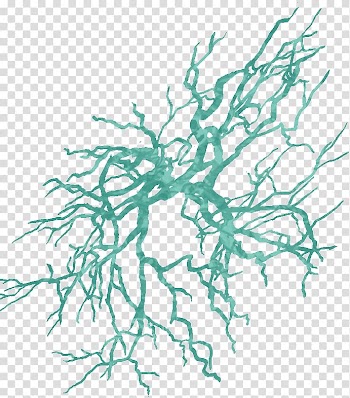 Line art Plant stem Leaf Hatching , coral reef transparent background PNG clipart