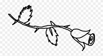 Line Art Rose - Rose Line Art Png