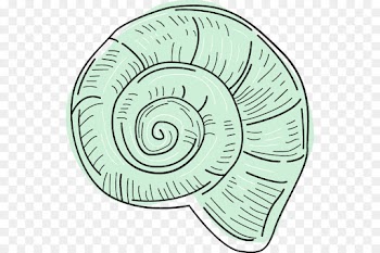 line art spiral clip art circle