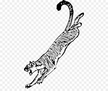 line art tail claw coloring book terrestrial animal