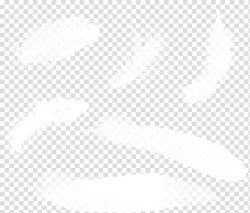 Line Black and white Angle Point, Feather transparent background PNG clipart