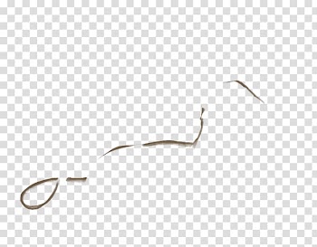 Line Brown Font, dynamic line transparent background PNG clipart