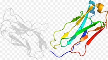 Line Clip art Point Product - arp background 