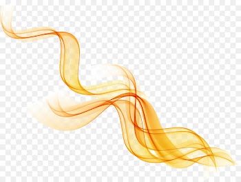 Line Curve Photography - Dynamic fashion lines background 