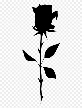 Line Dancing Silhouette - Silhouette Of A Rose