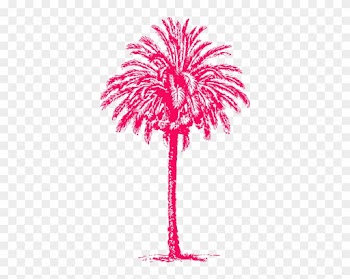 Line Drawings Palm Tree