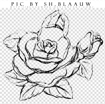 LINE, flower illustration with text overlay transparent background PNG clipart