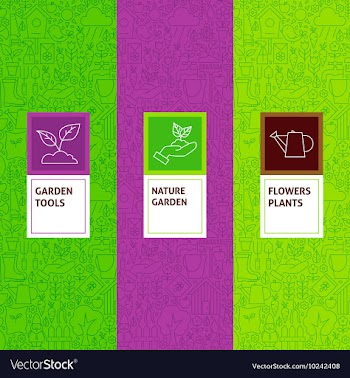  					Line Garden Flowers Patterns Set vector image														