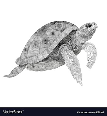 line graphics turtle
