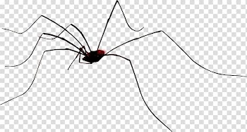 Line Insect Point Angle Wing, Creative Halloween spider transparent background PNG clipart