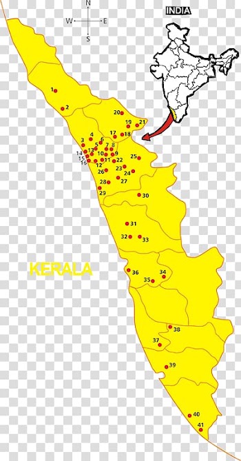 Line Leaf Point Angle , KERALA MAP transparent background PNG clipart