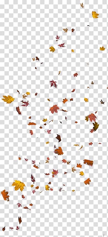 Line Point Angle Leaf , line transparent background PNG clipart