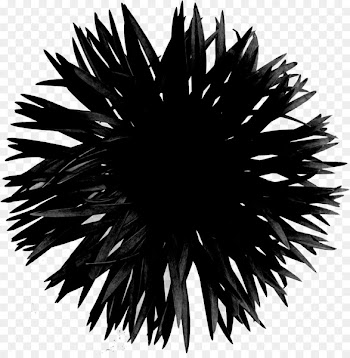 Line Symmetry Black M -  