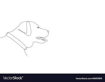 linear drawing of labrador a dog with a contour