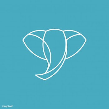 Linear illustration of a elephant's head | Free stock vector - 524660