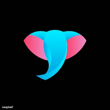 Linear illustration of a elephant's head | Free stock vector - 524666